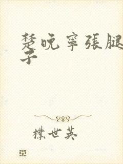 楚晚宁张腿放棋子