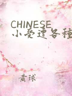 CHINESE小受遭各种打桩