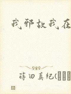 我邪故我在