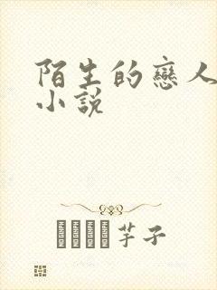 陌生的恋人原著小说