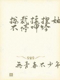 总裁揉捏她两乳不停呻吟