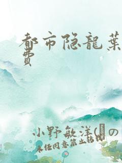 都市隐龙叶辰免费