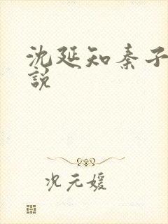 沈延知秦子卿小说