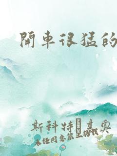 开车很猛的古文