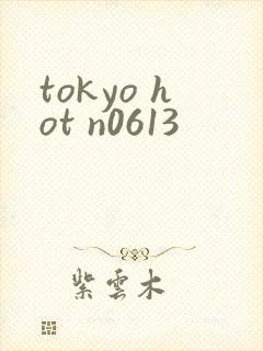 tokyo hot n0613