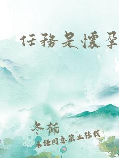 任务是怀孕系统