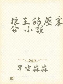 狼王的压寨小相公 小说