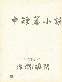 中短篇小说集
