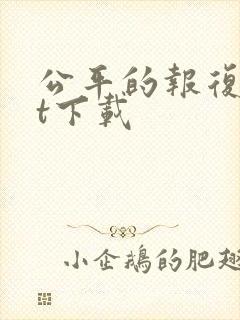 公平的报复txt下载