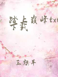 踏上巅峰txt下载