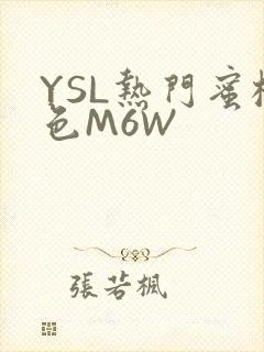 YSL热门蜜桃色M6W
