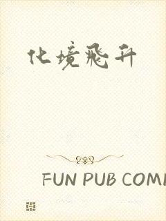 化境飞升