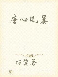 唐心风暴