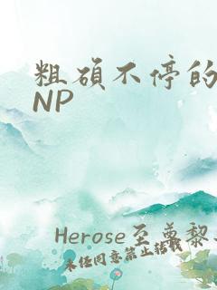 粗硕不停的进出NP