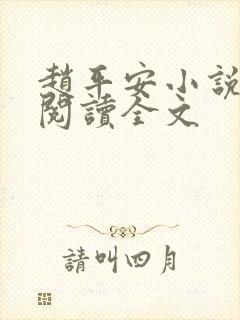 赵平安小说免费阅读全文