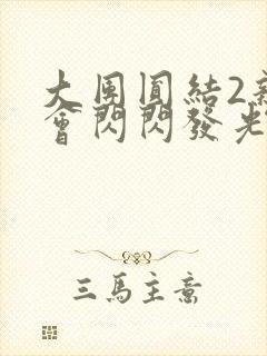 大团圆结2亲情会闪闪发光亲情会2