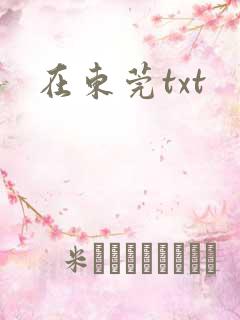 在东莞txt