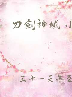 刀剑神域 小说