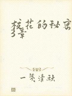 校花的秘密第23章