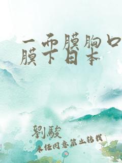 一面膜胸口一面膜下日本