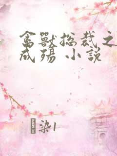 禽兽总裁之虐爱成殇 小说