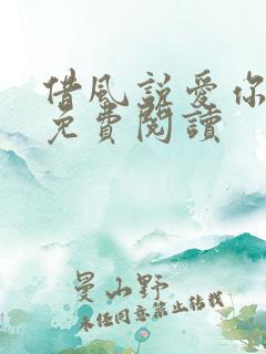 借风说爱你小说免费阅读