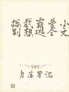 总裁霸爱小娇妻别想逃全文阅读免费