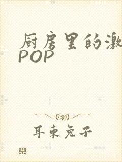 厨房里的激战2POP