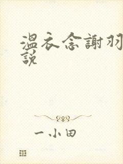 温衣念谢羽渊小说