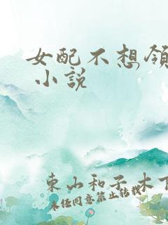 女配不想领便当 小说