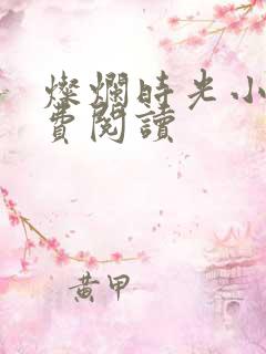 灿烂时光小说免费阅读