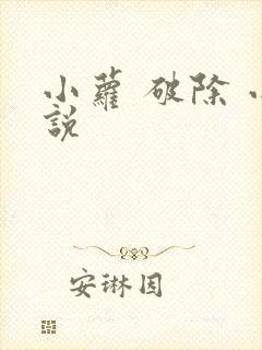 小萝 破除 小说