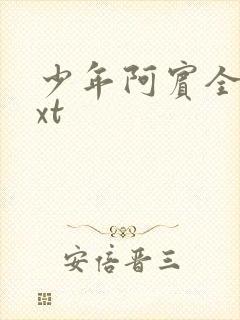 少年阿宾全集txt