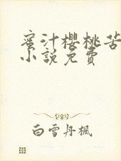 蜜汁樱桃苦咖啡小说免费