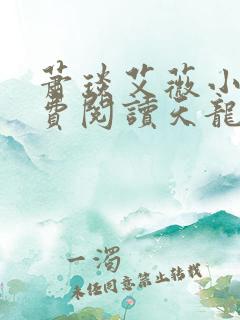 萧琰艾薇小说免费阅读天龙殿