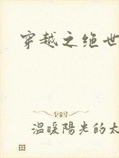 穿越之绝世皇后