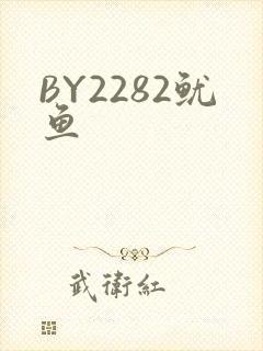 BY2282鱿鱼