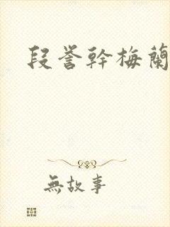 段誉干梅兰竹菊