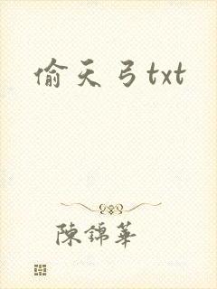 偷天弓txt