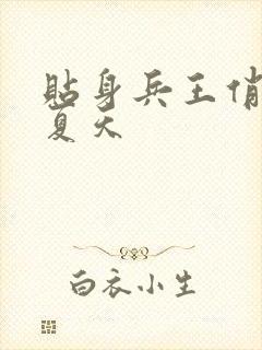 贴身兵王俏总裁夏天