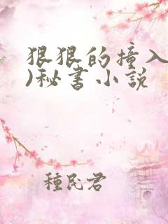 狠狠的撞入(h)秘书小说