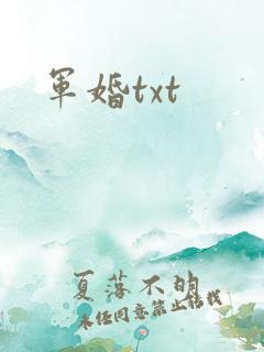 军婚txt