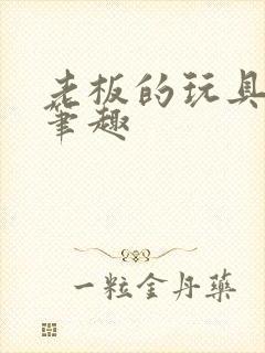 老板的玩具小米笔趣