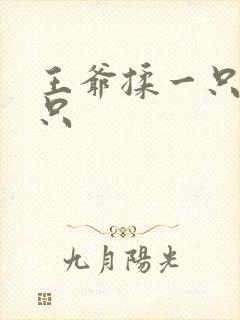 王爷揉一只舔一只