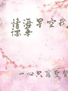 情海星空我与刘德华