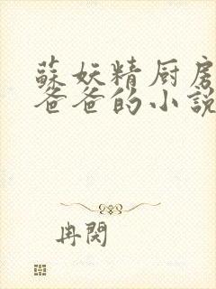 苏妖精厨房爹爹爸爸的小说