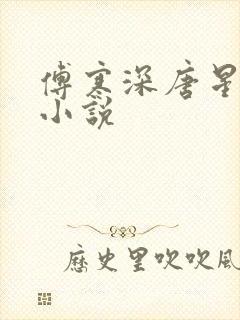 傅寒深唐星挽的小说