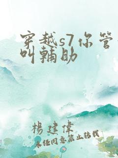 穿越s7你管这叫辅助