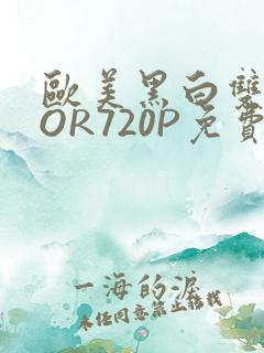 欧美黑白双插OOR720P免费