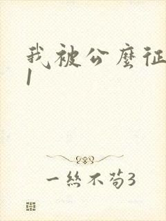 我被公么征服了1